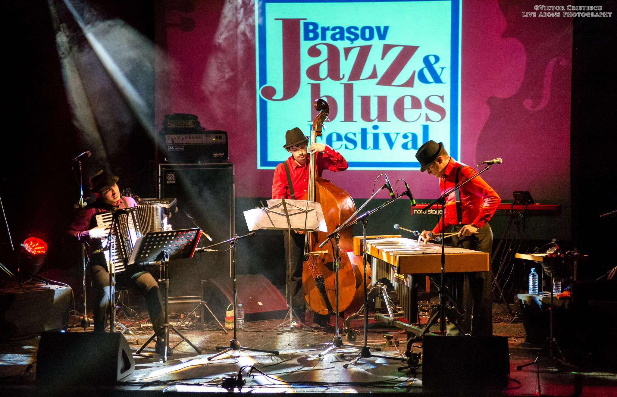 Jazz And Blues Festival Brasov 2015 Concert Muzica Live Sistem Sunet Lumini Scena  3 MUSIC GEAR (3)