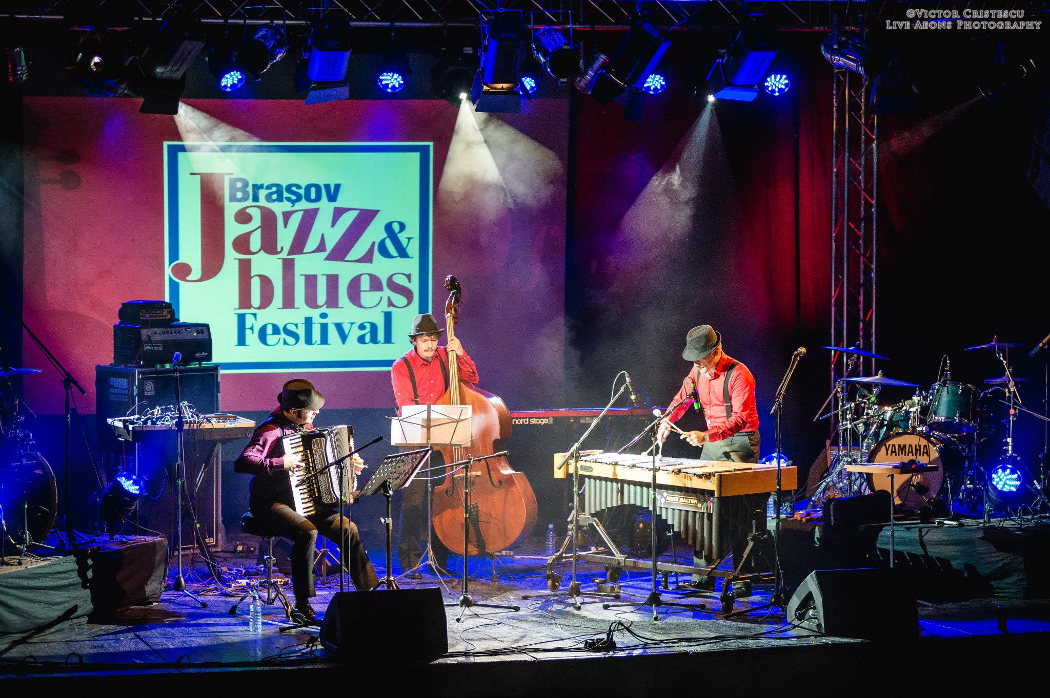 Jazz And Blues Festival Brasov 2015 Concert Muzica Live Sistem Sunet Lumini Scena  3 MUSIC GEAR (5)